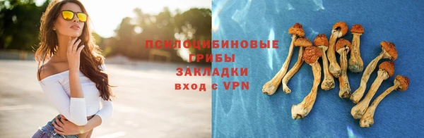 амф Абинск