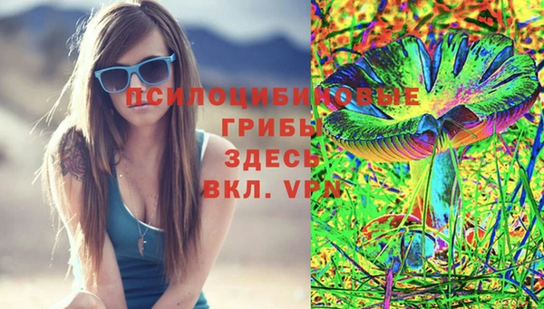 2c-b Алзамай