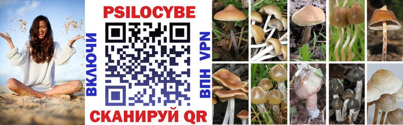 Псилоцибиновые грибы Magic Shrooms  кракен как войти  Катайск  хочу наркоту 